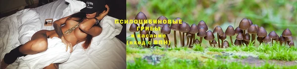 мдма Нефтекумск